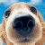 :iconjohnni456: