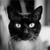 :iconjohnnynetcat: