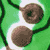:iconjohnsampson: