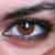 :iconjohnserevende: