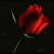 :iconjohnskat123: