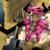 JohnThomasJ :iconjohnthomasj: