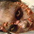 :iconjoinhandsnow:
