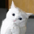 :iconjoioc: