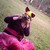 :iconjojosgirl15: