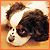 :iconjokada: