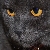 :iconjollygraham: