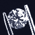 :iconjollyroger: