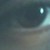 :iconjolois: