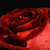 :iconjolydreams: