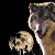 :iconJon-Drakonrue: