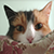:iconjon4h: