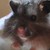 :iconjonah-yeoj: