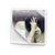 :iconjonas-aus-china: