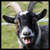 :iconjonathan-taylor:
