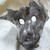 :iconjonathantrandich: