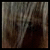 :iconjondarkwings: