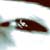 :iconJoneski: