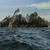 :iconjongabe: