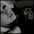 :iconjonistar: