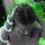 :iconjonsterz:
