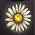 :iconjoojia: