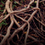 :iconjooviephoto: