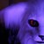 :iconjordain: