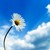 :iconjordan770: