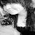 :iconjordaneee-x: