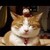 :iconjordanw2222: