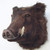 :iconjorikseykens: