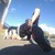 :iconjose4dance: