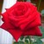 :iconjosebth12: