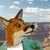 :iconjosephpark: