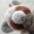 :iconjosephsiar:
