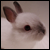 :iconjosette91: