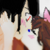 :iconjoshandalissamarsch:
