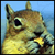 :iconJoshPigford: