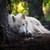 Joshschreckengast :iconjoshschreckengast: