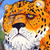 :iconjoshtabansi: