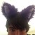 :iconjoshthehusky: