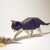 :iconjoshuathepapercat: