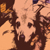 :iconjoshwoodstock:
