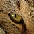 :iconJoSidewinder: