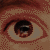 :iconjosome:
