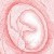 :iconjossart: