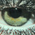 :iconjossstone124: