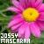 :iconjossymascaraa:
