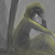 :iconjotapen:
